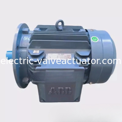 ราคาดี M2QA200LB6 22KW 6 โพล มอเตอร์ 3 โฟซิสินโครน IC411 ตู้เย็นด้วยตัวเอง ออนไลน์