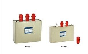ราคาดี Safety Low Voltage Protection Devices Low Voltage Shunt Capacitor With Low Loss ออนไลน์