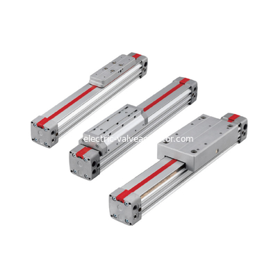 ราคาดี Dia 16mm Power Station Valve IMI NORGREN LINTRA No Rod Cylinder หล่ออลูมิเนียม ออนไลน์